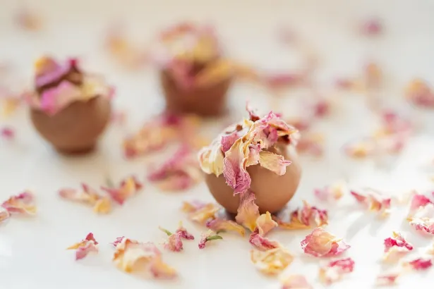 Pelican Casino Android/iOS aplikacija